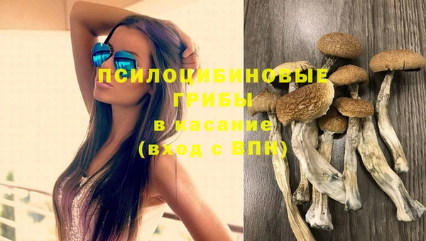 бошки Абдулино
