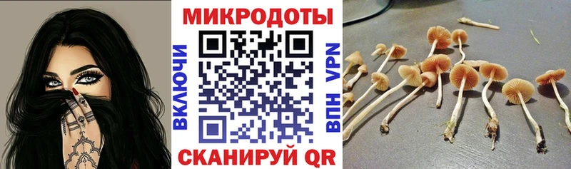 Псилоцибиновые грибы ЛСД  Дубна 