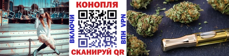kraken онион  Дубна  МАРИХУАНА сатива  дарнет шоп 